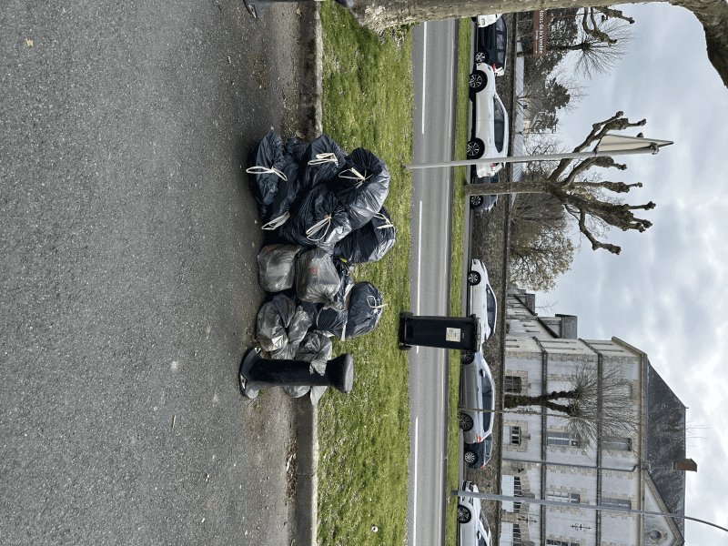 Dépôt sauvage, 222 Boulevard Aristide Briand, La Roche-sur-Yon