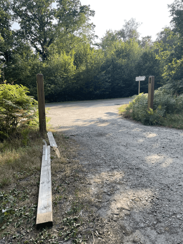 signalement à Rochefort-en-Yvelines