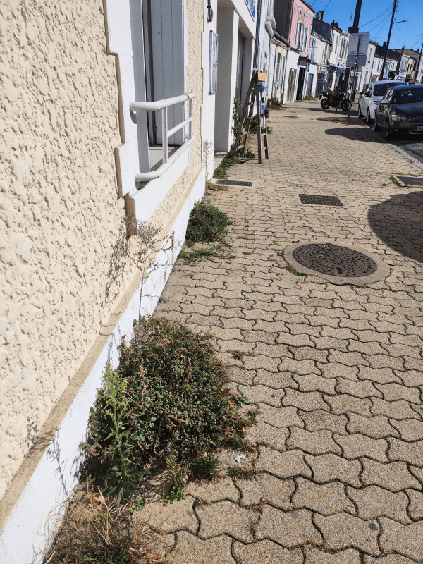 Résolution signalement à La Rochelle