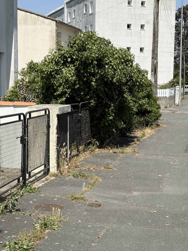 Propreté, 42 Avenue de Bourgogne, La Rochelle