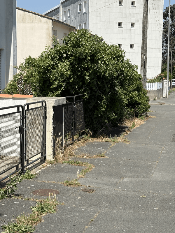 Signalement à La Rochelle