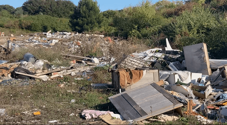 Signalement à La Rochelle