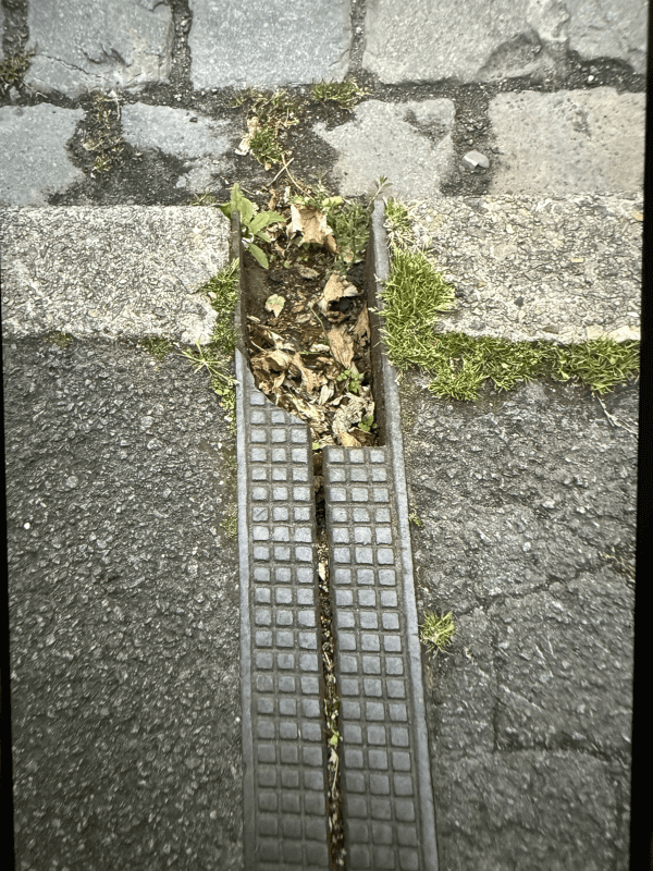 Signalement à Ronchin