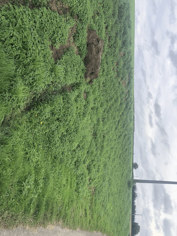 Dépôt sauvage, 4 Lotissement le Marais, Rouy-le-Grand