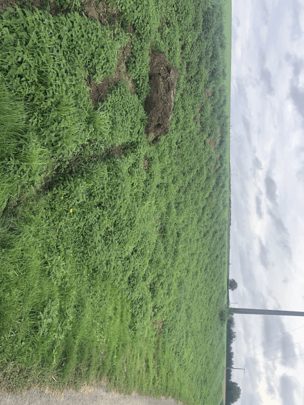 signalement à Rouy-le-Grand