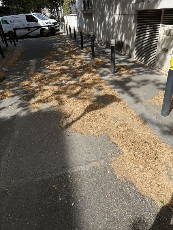 signalement à Saint-Denis