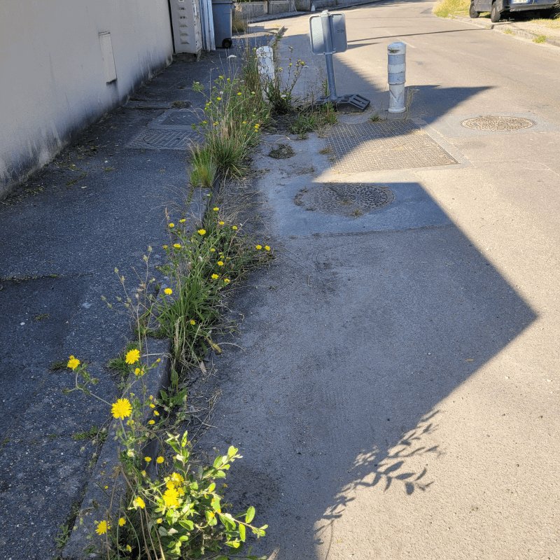 Propreté, Rue du Caporal Eugène Petit, Saint-Fargeau-Ponthierry