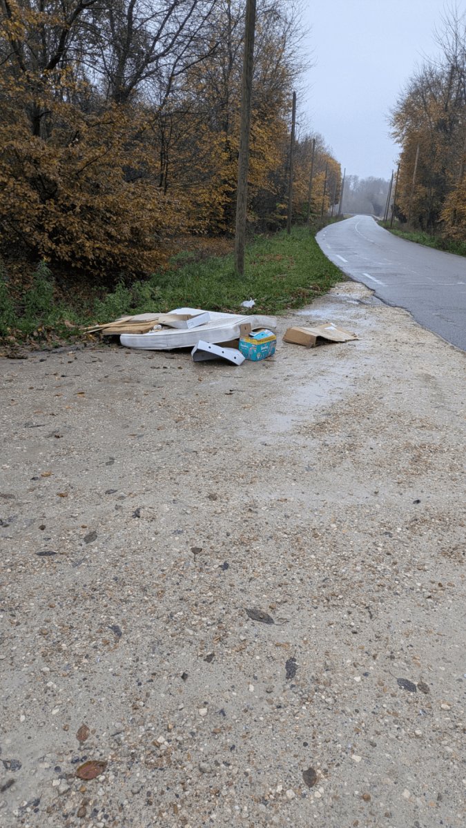 Dépôt sauvage, Avenue des Loges, Saint-Germain-en-Laye