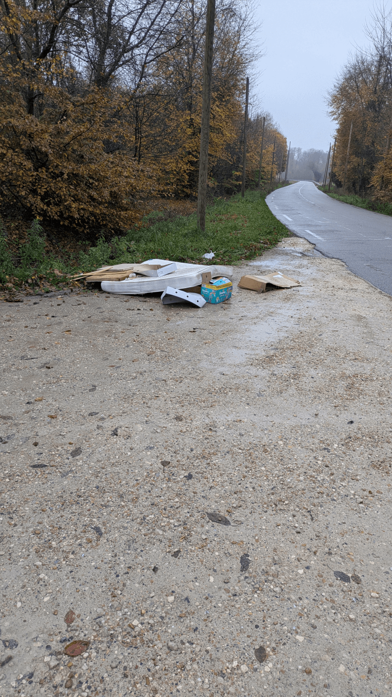 Signalement à Saint-Germain-en-Laye