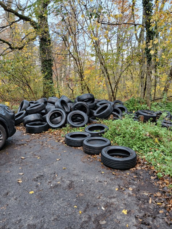 Dépôt sauvage, Route du Petit Parc, Saint-Germain-en-Laye