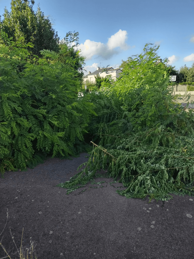 signalement à Saint-Herblain