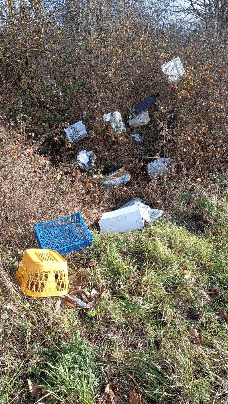 Signalement à Saint-Martin-le-Beau