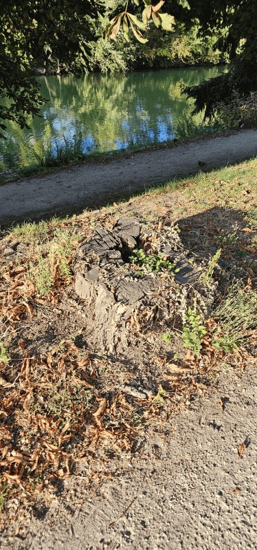 Autre, 26 Quai de Champignol, Saint-Maur-des-Fossés