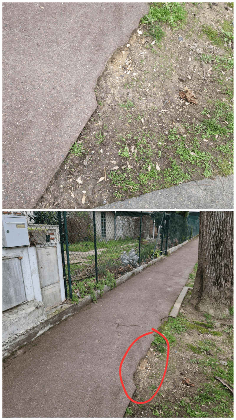 Signalement à Saint-Maur-des-Fossés