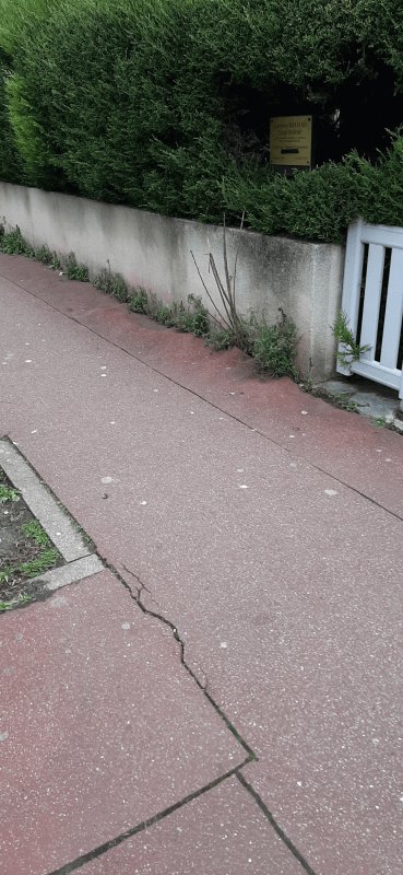 Autre, 53 Avenue de la République, Saint-Maur-des-Fossés
