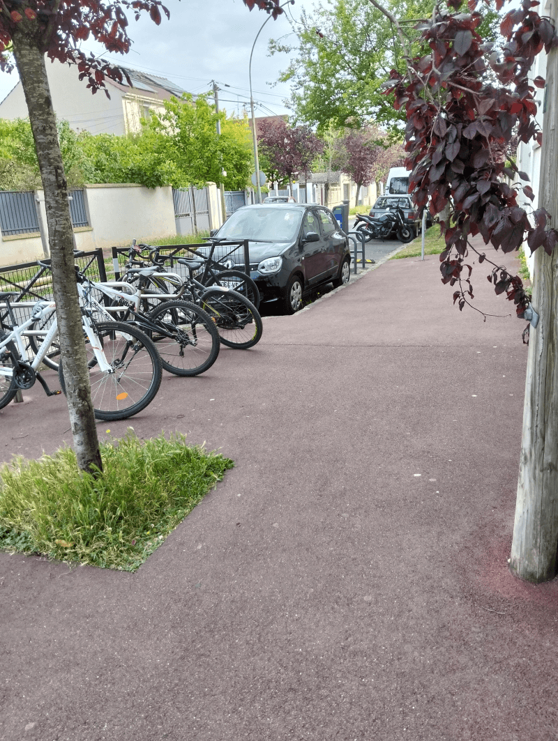 signalement à Saint-Maur-des-Fossés