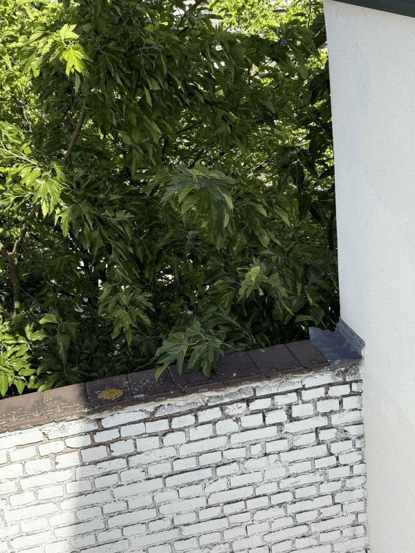 Autre, 36 Rue du Docteur Bauer, Saint-Ouen-sur-Seine