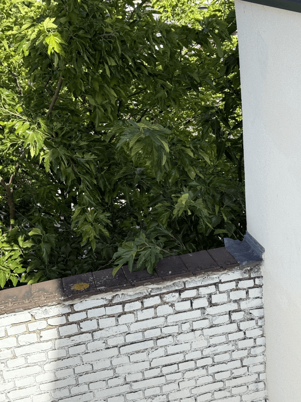 signalement à Saint-Ouen-sur-Seine