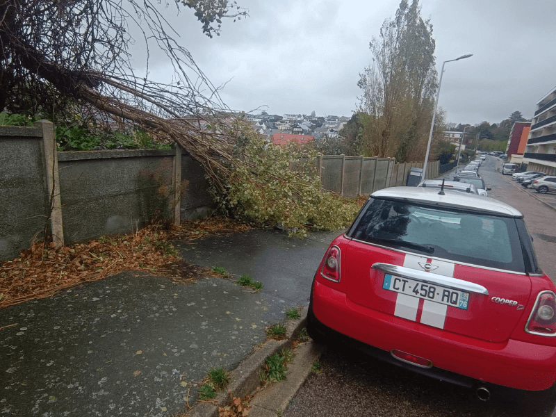 Signalement à Sainte-Adresse