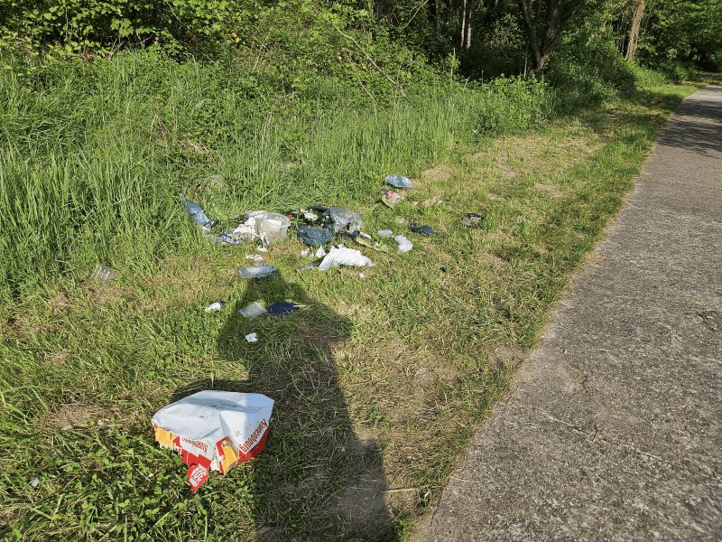 Dépôt sauvage, D 919, Sarreguemines