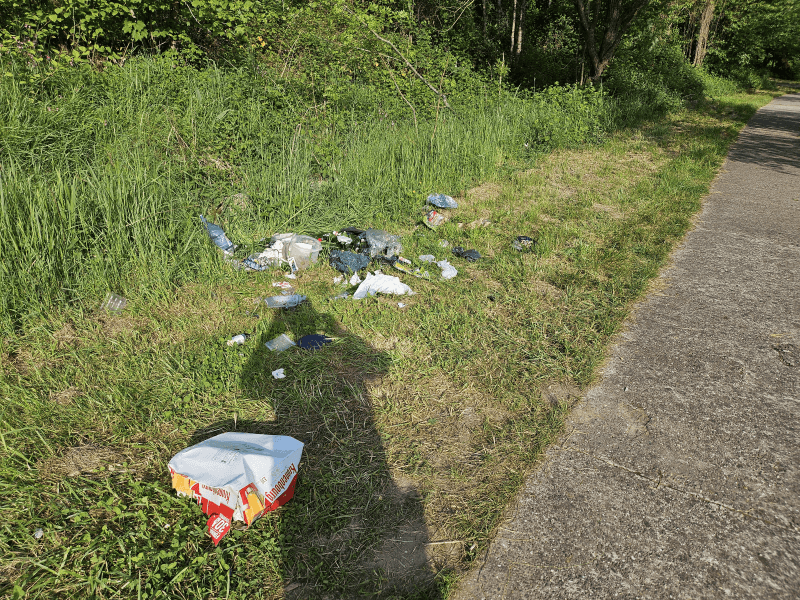 signalement à Sarreguemines