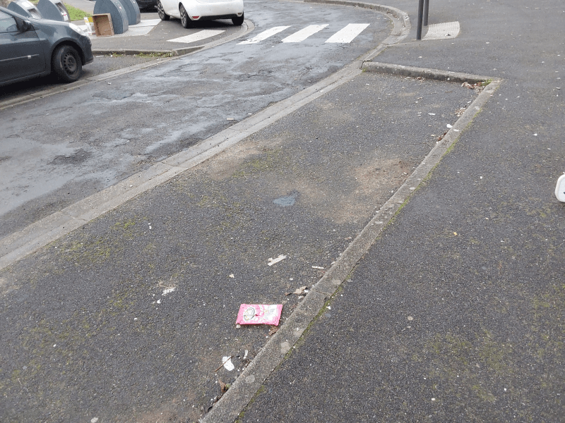 Signalement à Saumur