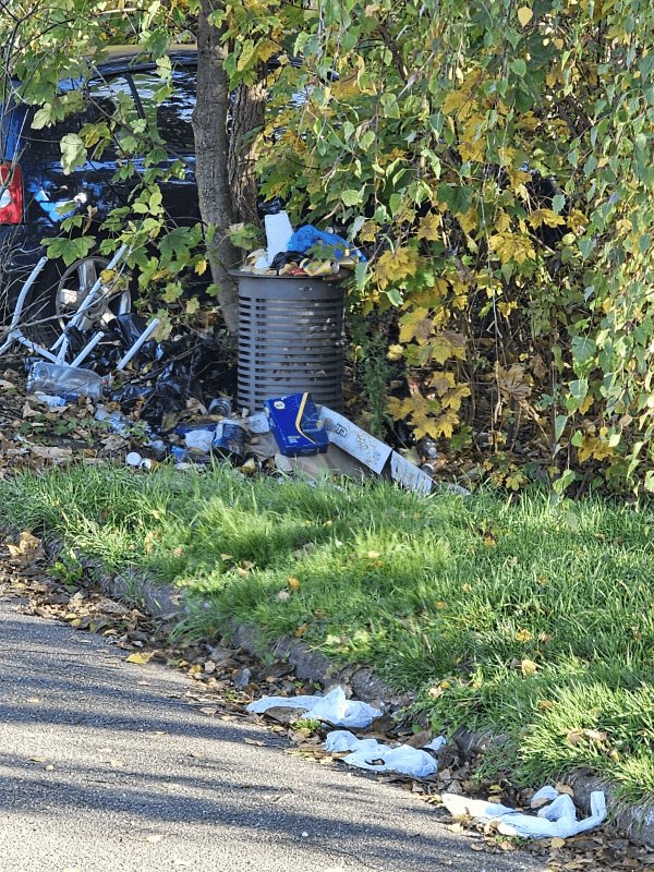 Propreté, 2 Rue de Turenne, Schiltigheim
