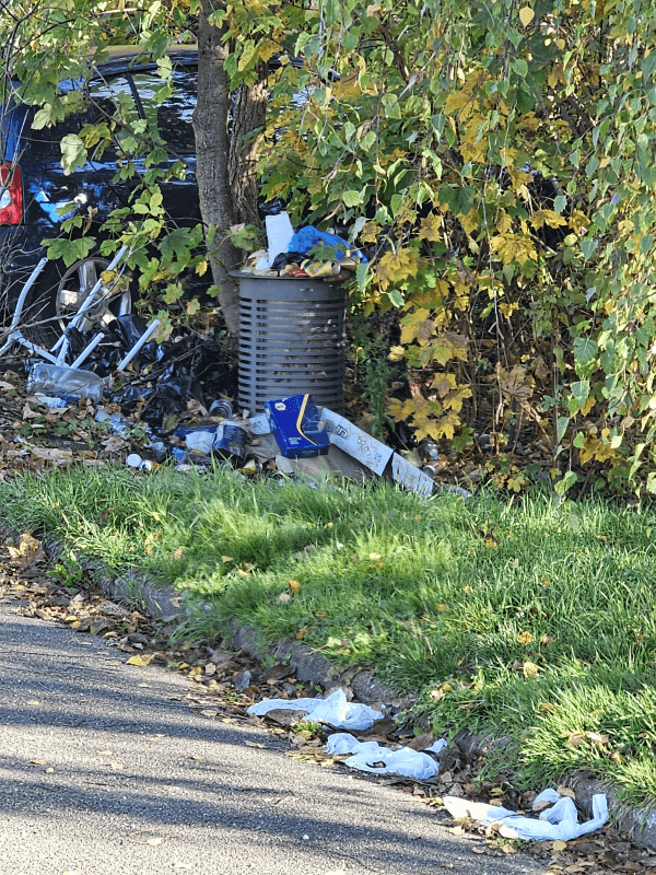 Signalement à Schiltigheim
