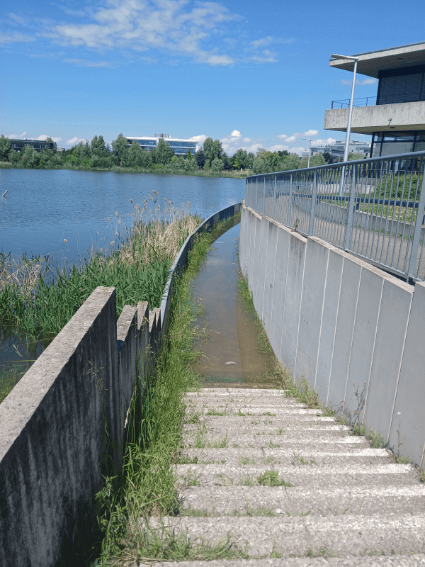 Signalement à Schiltigheim
