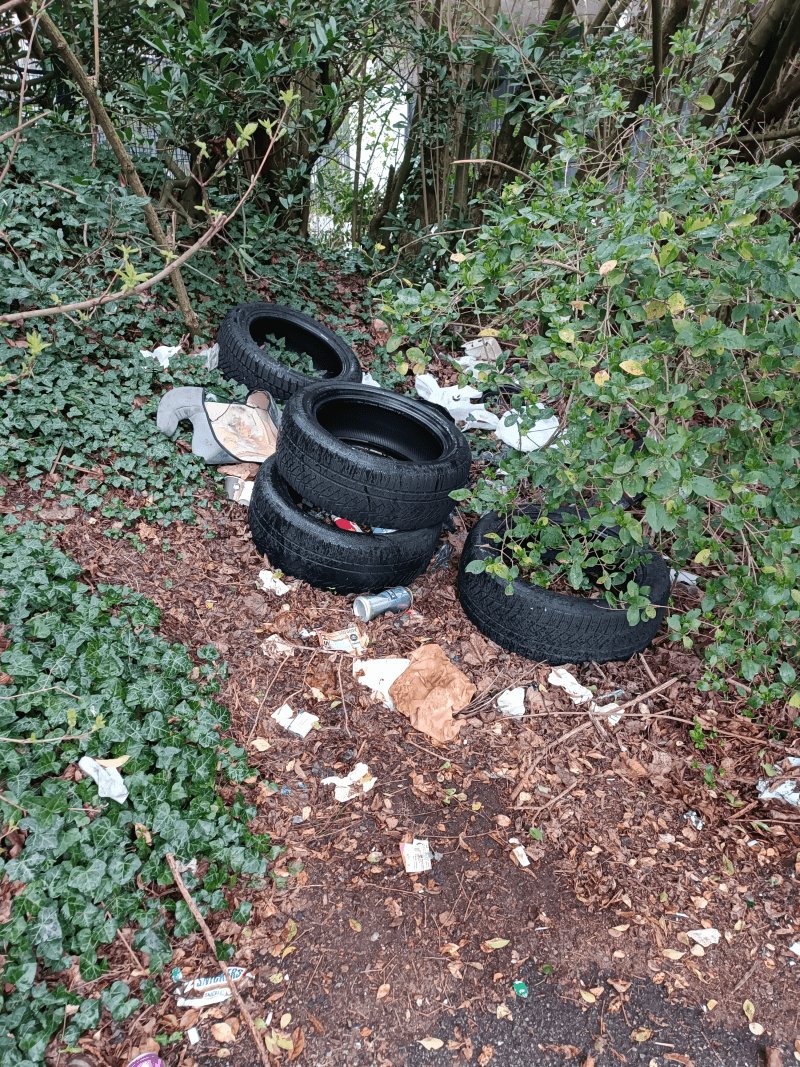 Autre, 2 Rue de Turenne, Schiltigheim