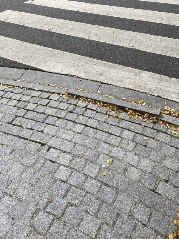 signalement à Serris