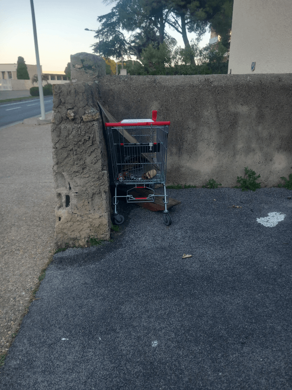Signalement à Sète