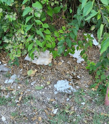 Propreté, 1 Rue Saint-Hubert, Sorgues
