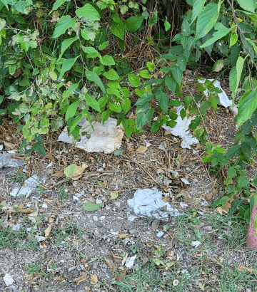 signalement à Sorgues