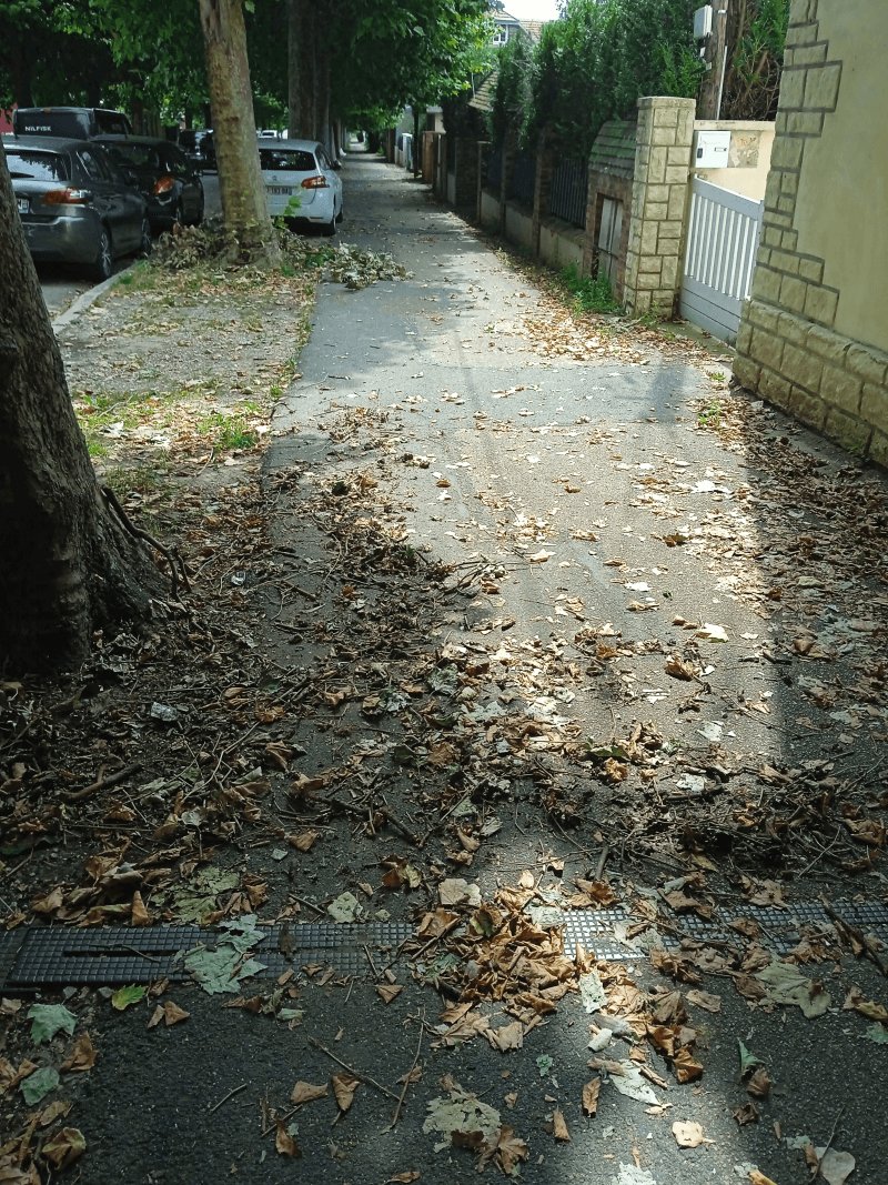Propreté, Avenue du 14 Juillet, Sotteville-lès-Rouen