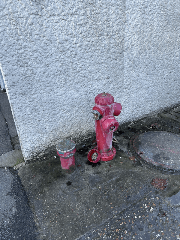 signalement à Stains