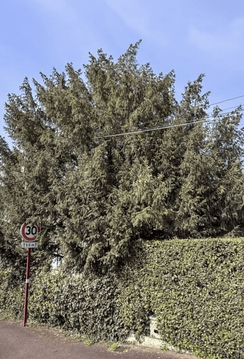 Autre, Avenue de la Croix, Le Taillan-Médoc