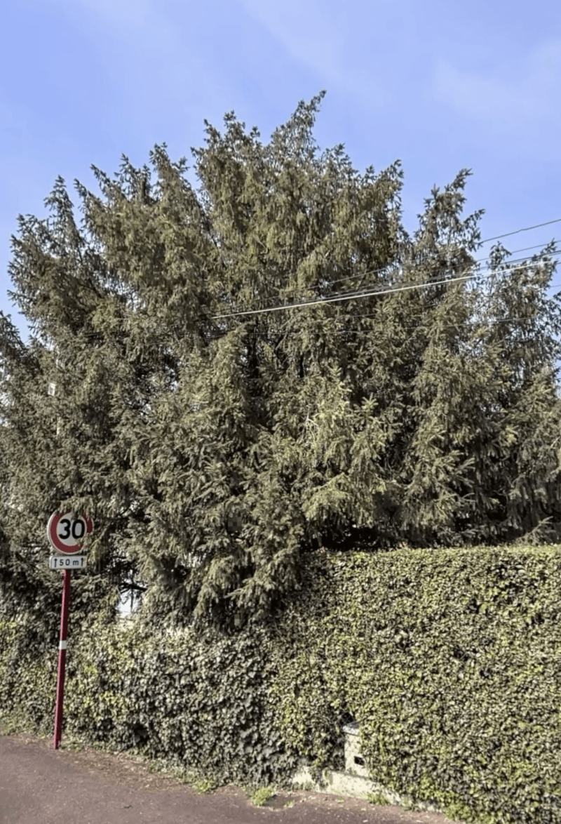 Signalement à Le Taillan-Médoc