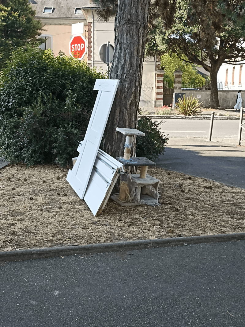 signalement à Tarbes