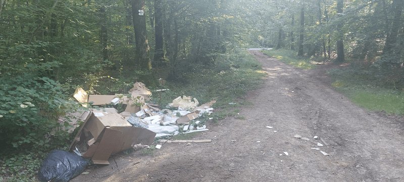 Dépôt sauvage, Chemin des Pèlerins, Thionville