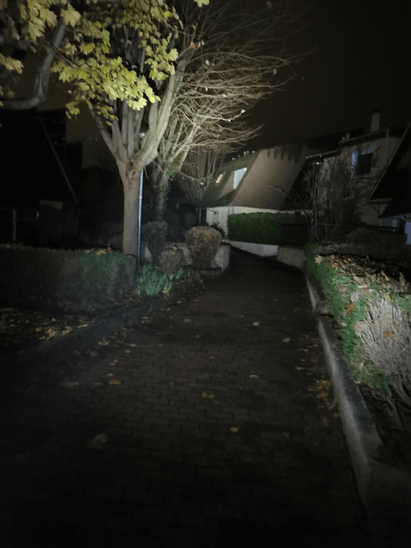 Signalement à Torcy