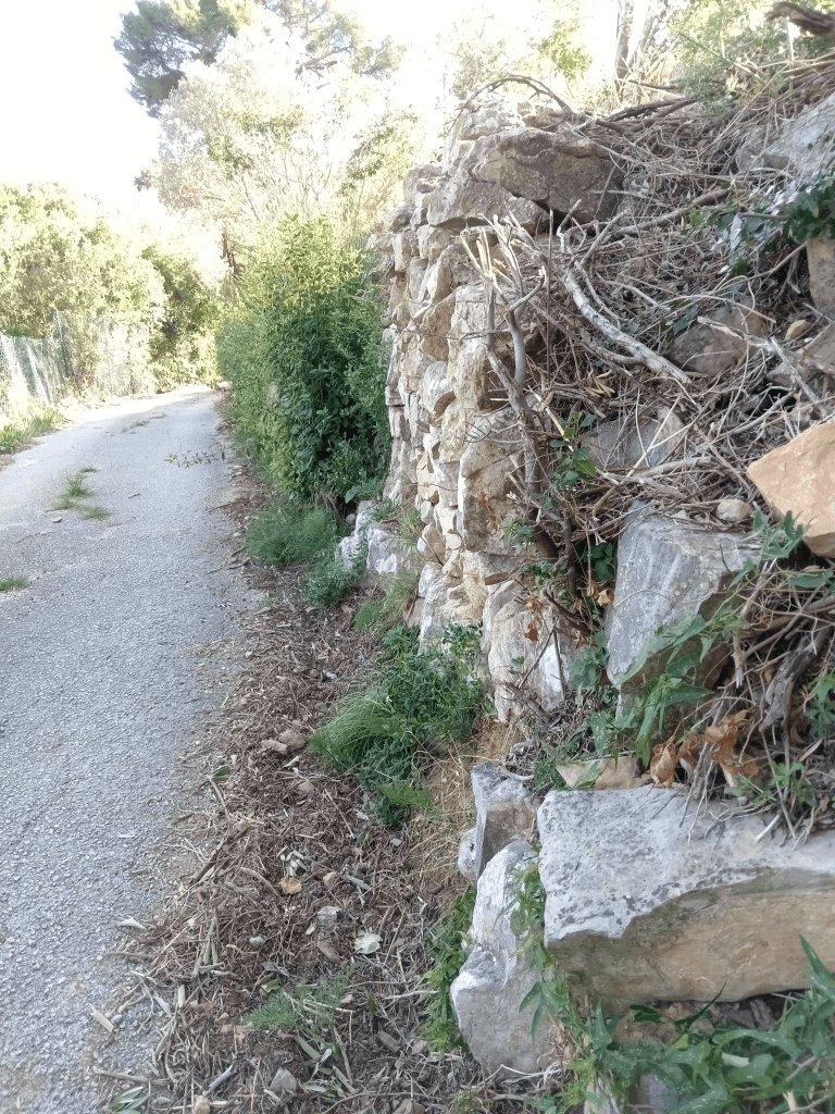 Voirie, éclairage, Chemin de la Source, Toulon