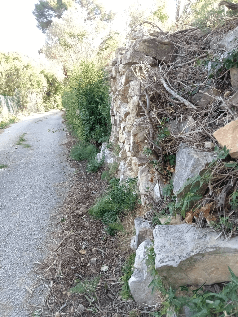 Signalement à Toulon
