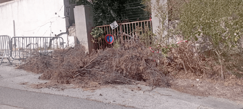 signalement à Toulon