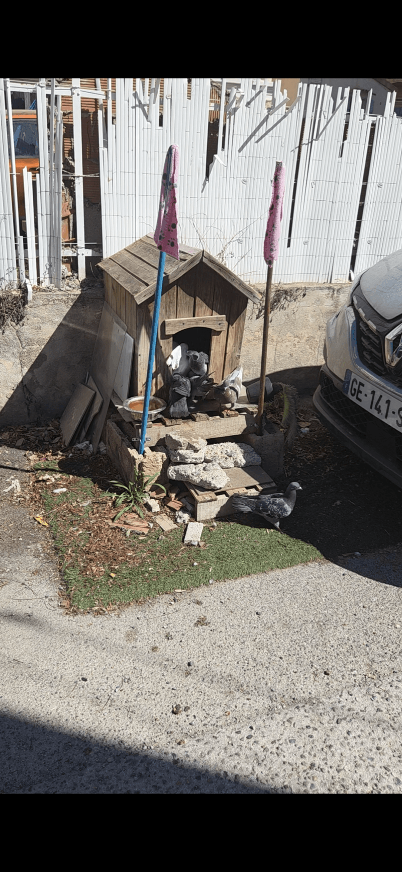 signalement à Toulon