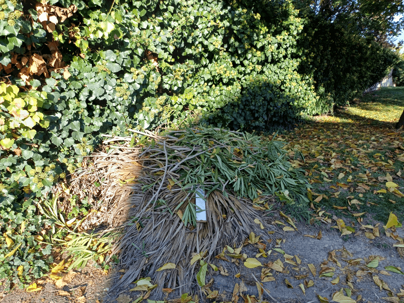 Signalement à Toulouse
