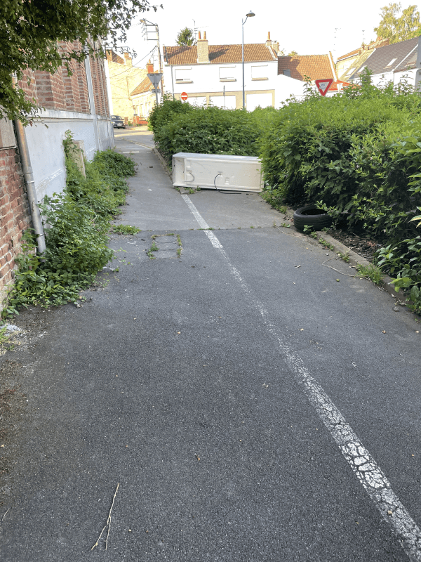 signalement à Toulouse