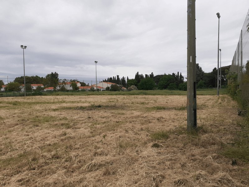 Propreté, Impasse des Myrtilles, Toulouse : après