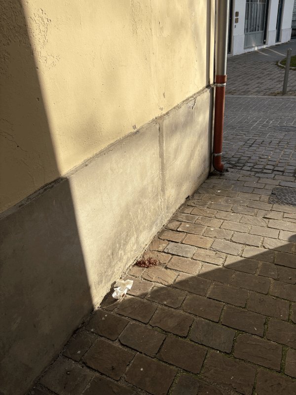 Propreté, 4 Rue Viardin, Troyes