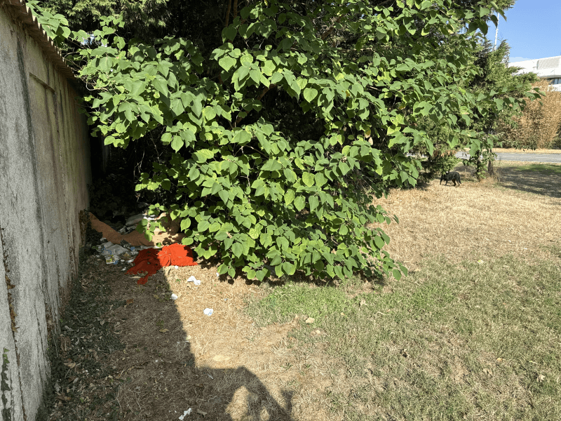 Signalement à Valence